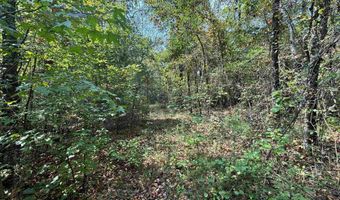 0 GIBSON COVE Dr 7.10 Acres Plus . 58 ac Access Lot, Ashville, AL 35953