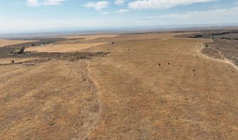 UKA Crider Valley RD, Bickleton, WA 99322
