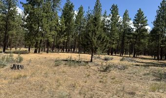28961 Yonna Wood Rd, Bonanza, OR 97623