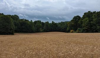 732 Highway 558, Albany, KY 42602