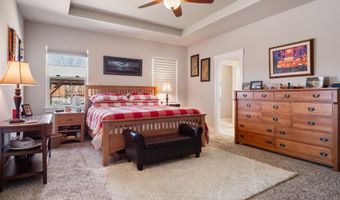 1146 Cheatgrass Dr, Dayton, NV 89403