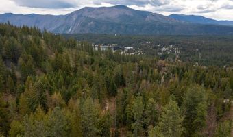 1142 Salee Creek Rd, Bayview, ID 83803