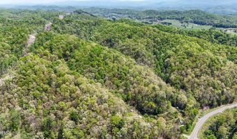 Tbd Green Springs Road, Abingdon, VA 24211