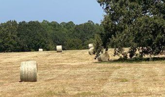 2141 Rs County Road 2250, Alba, TX 75410