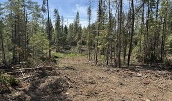 NKA Abundant Life Lot 3 Court, Athol, ID 83801
