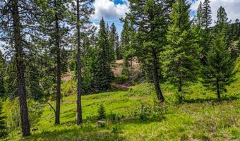 123 Veil Cave Ct, Donnelly, ID 83615