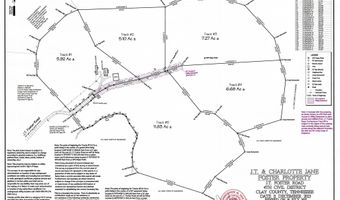 585 J T Foster Rd, Allons, TN 38541