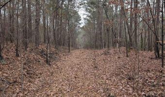 Lots B & C Miller Road, Camden, SC 29020