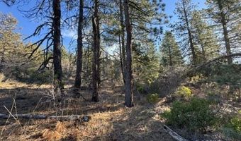 Hummingbird Dr, Bonanza, OR 97623