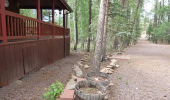38 CR 2266, Alpine, AZ 85920