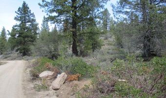 Night Owl Drive Lot 2, Bonanza, OR 97623