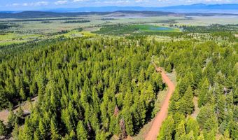 9454 Ridge Rd, Alturas, CA 96101