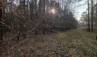 U.S. Highway 51, Bogue Chitto, MS 39629