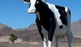 743 E HildaJane Way, Amargosa Valley, NV 89020