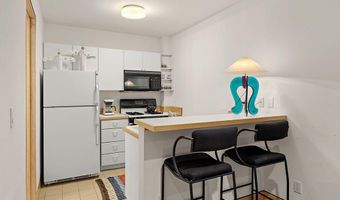530 W Francis St, Aspen, CO 81611