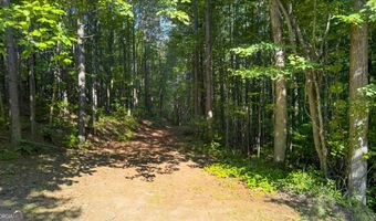 2025 Soap Creek Rd, Ball Ground, GA 30107
