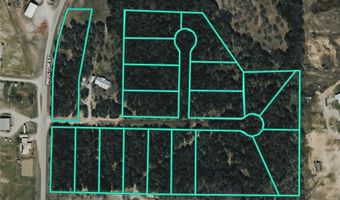 FM 1655 Trail, Alvord, TX 76225