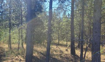 Nka Sheep Springs 10 acres, Athol, ID 83801