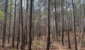 274 CR 3301, Booneville, MS 38829