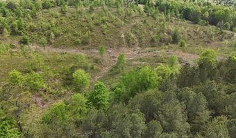 Eldridge Road lot 9, Birchwood, TN 37308