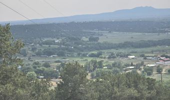 Lobo Ranch Road, Arroyo Hondo, NM 87513