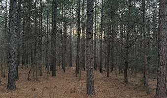 Piney Mountain Road lot 7, Appomattox, VA 24522