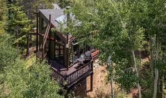 163 LONE HAND Way, Breckenridge, CO 80424