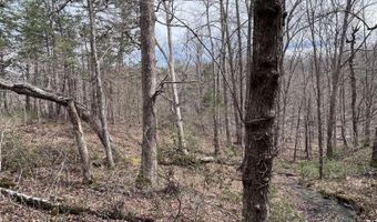 12195 Hwy 587, Beattyville, KY 41311