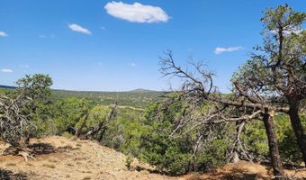 15 Co Rd 3041, Concho, AZ 85924