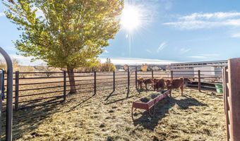 918 ROAD 4990, Bloomfield, NM 87413