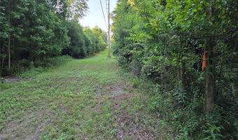 15929 NW 135TH Ter, Alachua, FL 32615
