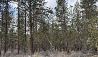 Bufflehead Drive TL 10, Bonanza, OR 97623