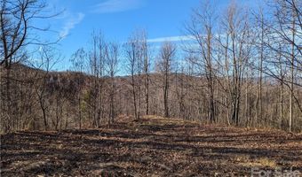 Lot T6 North Haven Drive T6, Black Mountain, NC 28711