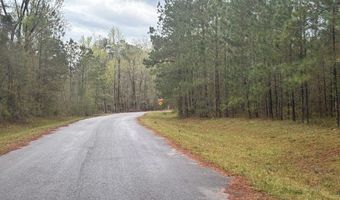 Lot 5 Jacquelyn Court, Bainbridge, GA 39819