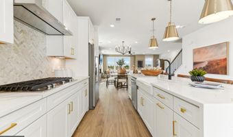 43763 ORCHID DOVE Ter, Ashburn, VA 20147