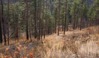 0 Cougar Cir Ct, Bellvue, CO 80512