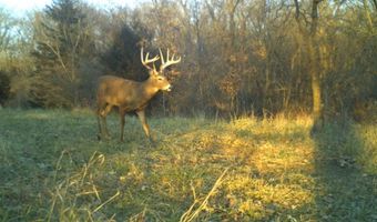 189 Th St, Albia, IA 52531