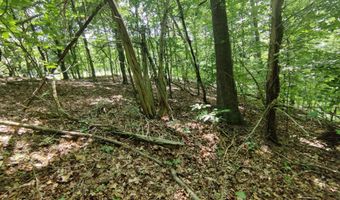 3347 Mountain View Ln, Baneberry, TN 37890