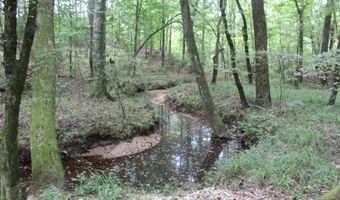 NE Hopewell Road, Brookhaven, MS 39601