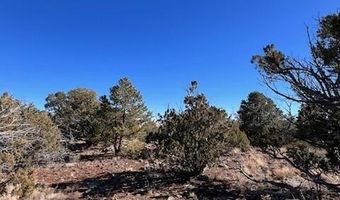 N8689 lot 002P, Concho, AZ 85924