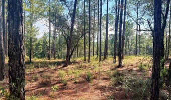 0 State Highway 225, Bay Minette, AL 36507