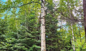 13727 Big Hawk Dr, Bigfork, MT 59911