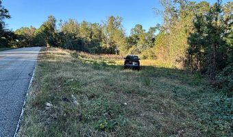 TBD Alternate 97, Abbeville, AL 36310