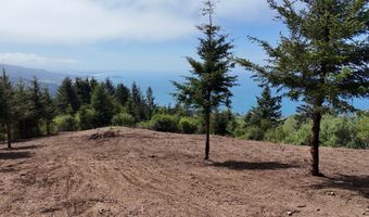 McVay Creek Rd TL310, Brookings, OR 97415