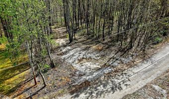 61 AC Hidden Cove Ln, Allons, TN 38541