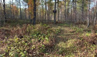 73855 Markville Rd, Arna Twp., MN 55072