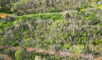 Tbd Stogdon Hollow, Anderson, MO 64831