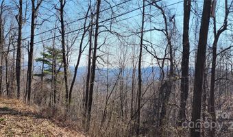 999 PINNACLE MOUNTAIN Rd LOT #8, Zirconia, NC 28790