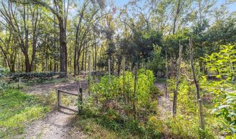 16305 NW 118TH Pl, Alachua, FL 32615