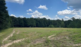 TBD County Road 40, Abbeville, AL 36310
